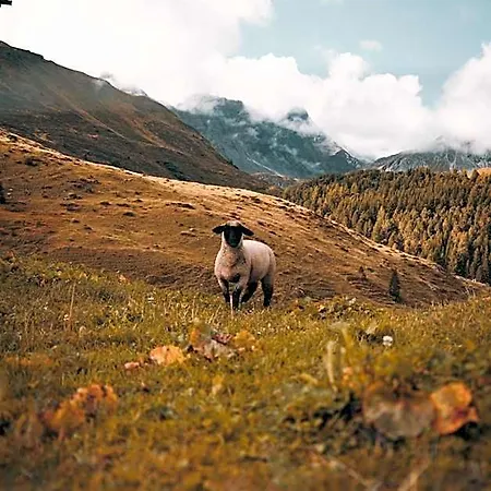 - Self Check-in * Arosa